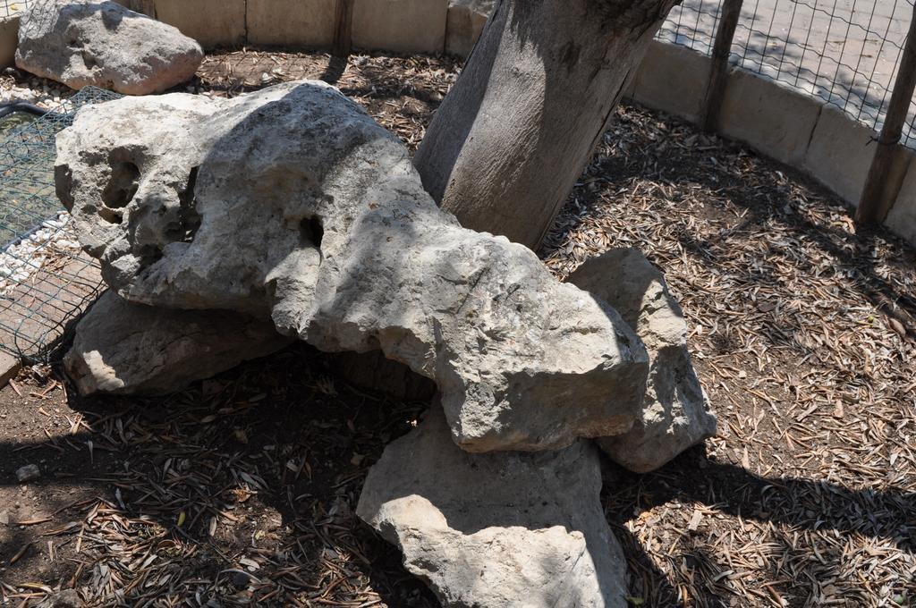 Bed & Breakfast Giardini Di Marzo Lecce Exterior photo